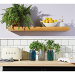 Modern Sprout® Indoor Herb Garden Kit